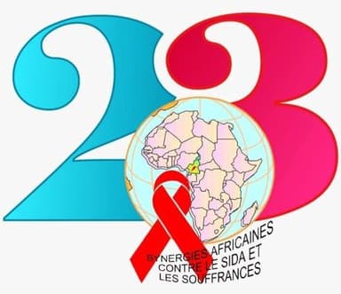 Synergies Africaines